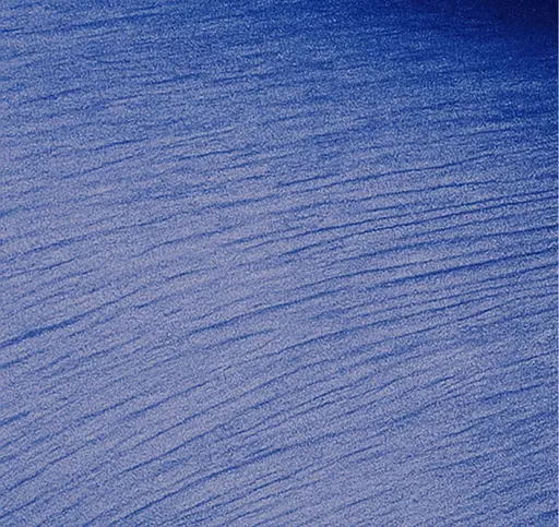 Left Image
